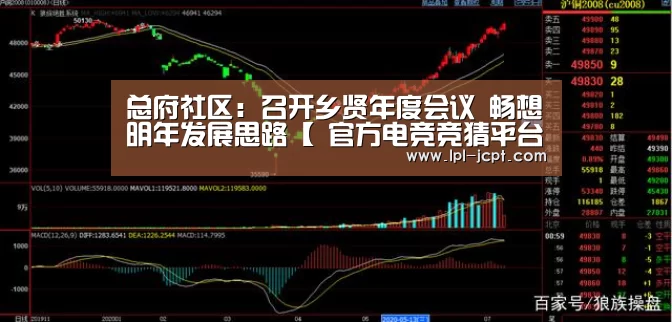 总府社区:召开乡贤年度会议 畅想明年发展思路【 官方电竞竞猜平台】(图1) 官方电竞竞猜平台