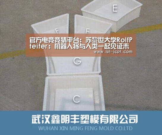  官方电竞竞猜平台