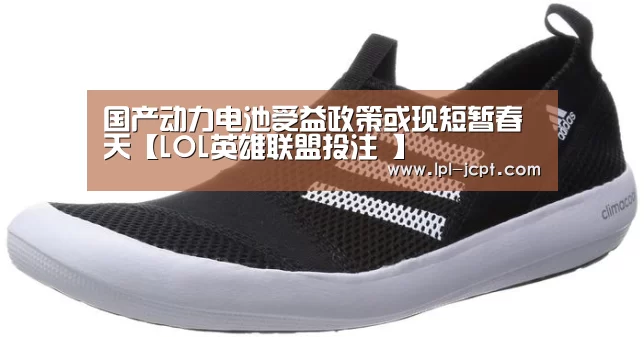 国产动力电池受益政策或现短暂春天【LOL英雄联盟投注 】(图1) 官方电竞竞猜平台