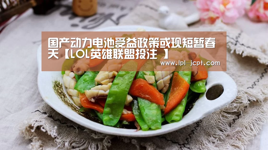 国产动力电池受益政策或现短暂春天【LOL英雄联盟投注 】(图4) LOL英雄联盟投注