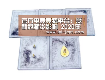 官方电竞竞猜平台:受新冠肺炎影响 2020年春交会开启线上筹备(图2) 官方电竞竞猜平台